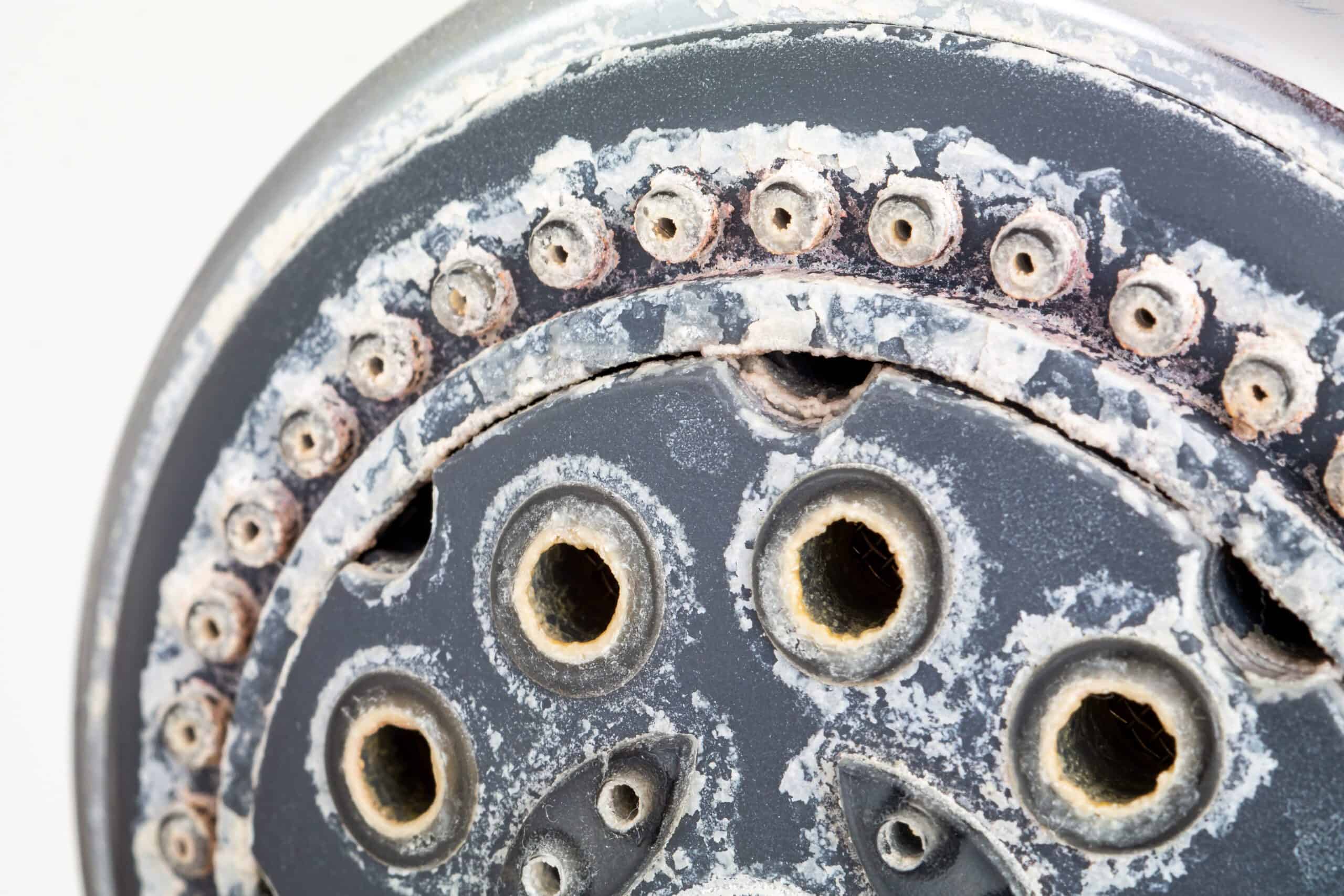 Silver round shower head with hard water deposit all around the sprinklers close up macro side shot isolated against white backdrop